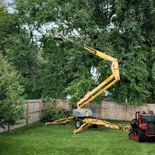 Trusted Wade Hampton, SC Tree Care Experts