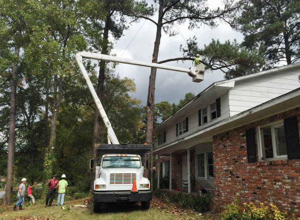 Lawn Watering Services in Wade Hampton, SC
